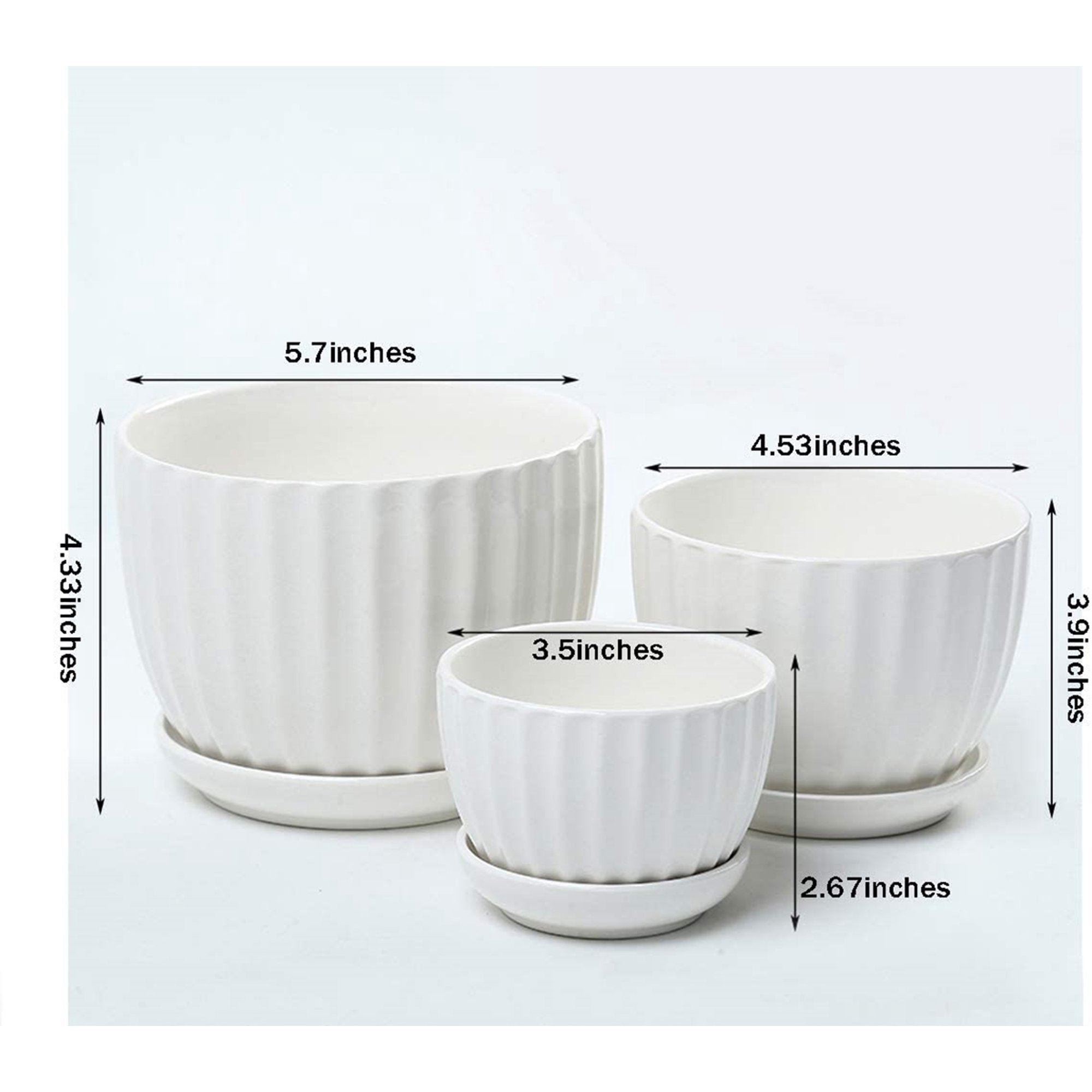 White Succulent Cactus Garden Planter Pots (Set of 3)