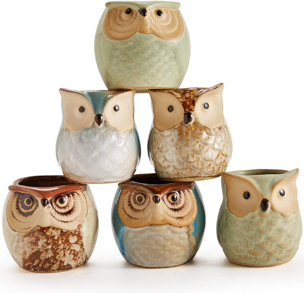 Owl Ceramic Pot Flower Holder Succulent Plant Pot 6 Pack, 2.5" Inch