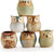 Owl Ceramic Pot Flower Holder Succulent Plant Pot 6 Pack, 2.5" Inch