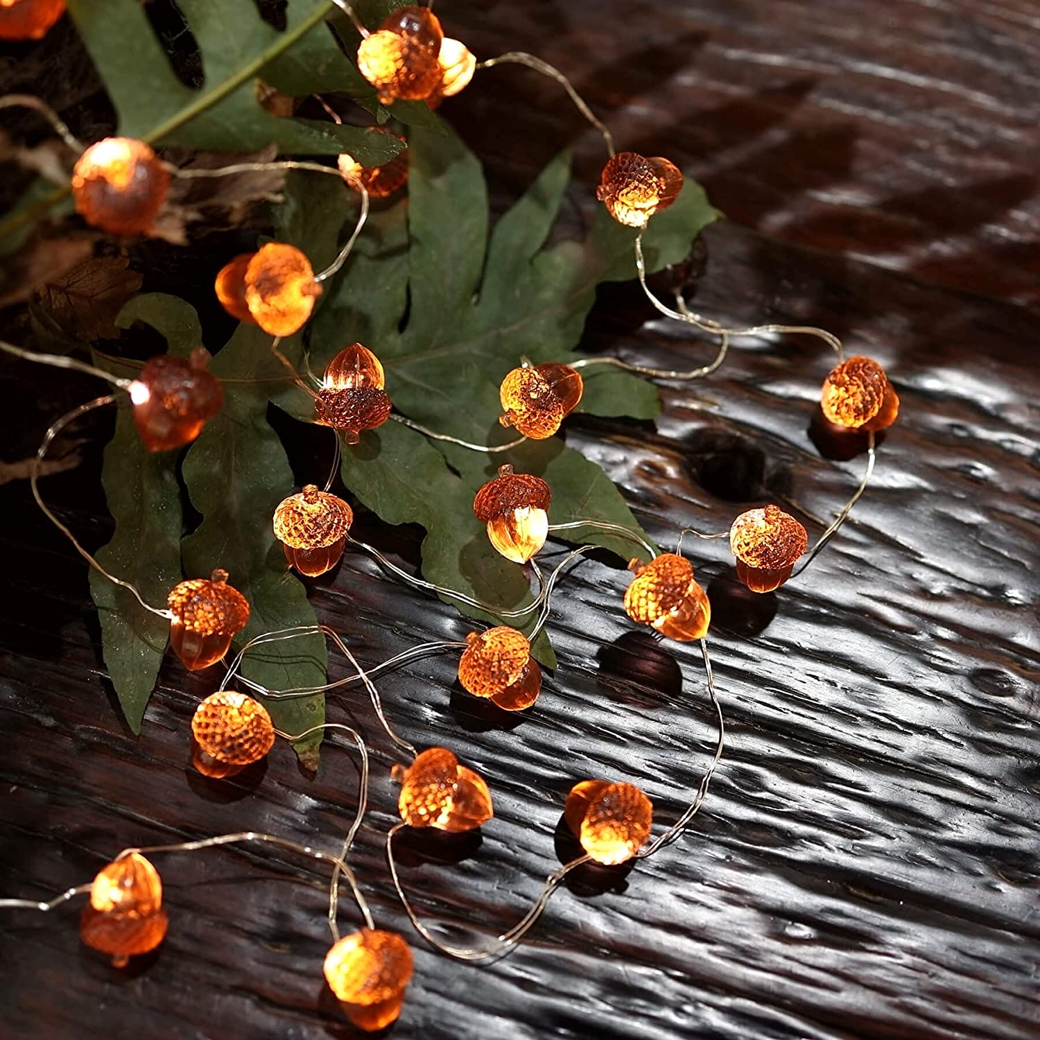 Fall Decoration Acorn 10 FT String Lights Battery Operated 30 LED for Bedroom