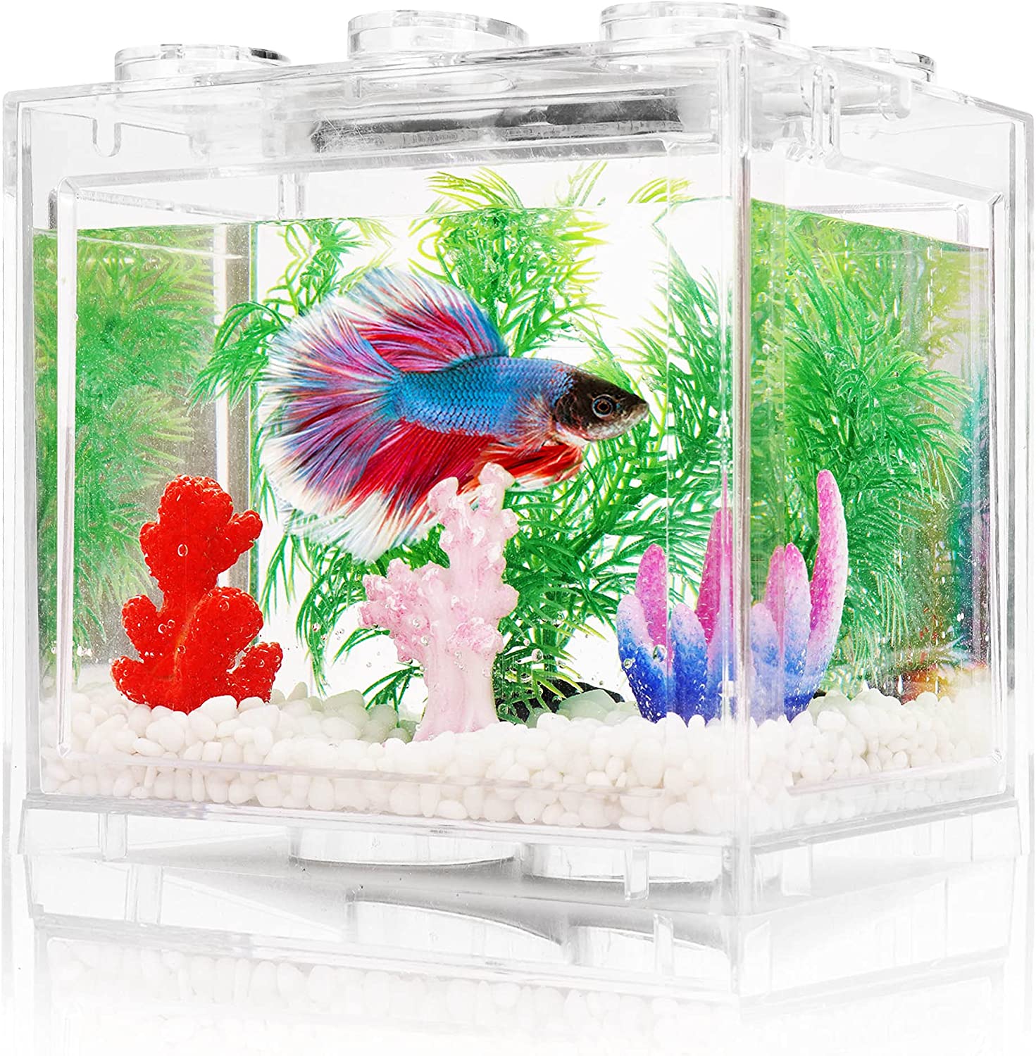 Betta Fish Tank with LED Lighting 3/5 Gallon