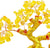 Crystal Bonsai Good Gold Money Tree Luck for Bringing Wealth, Luck, Prosperity, Success