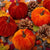 Fall Harvest Halloween Decorations 12 PCs Assorted Sizes Decorations Holiday Table Decor Farmhouse Decorations for Home