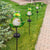 Waterproof Frog Solar Lights Outdoor for Garden, 1 Pack Solar Powered Warm White LED Light