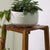 2 Tier Small Space Table Plant Holder Pot Holder Stand